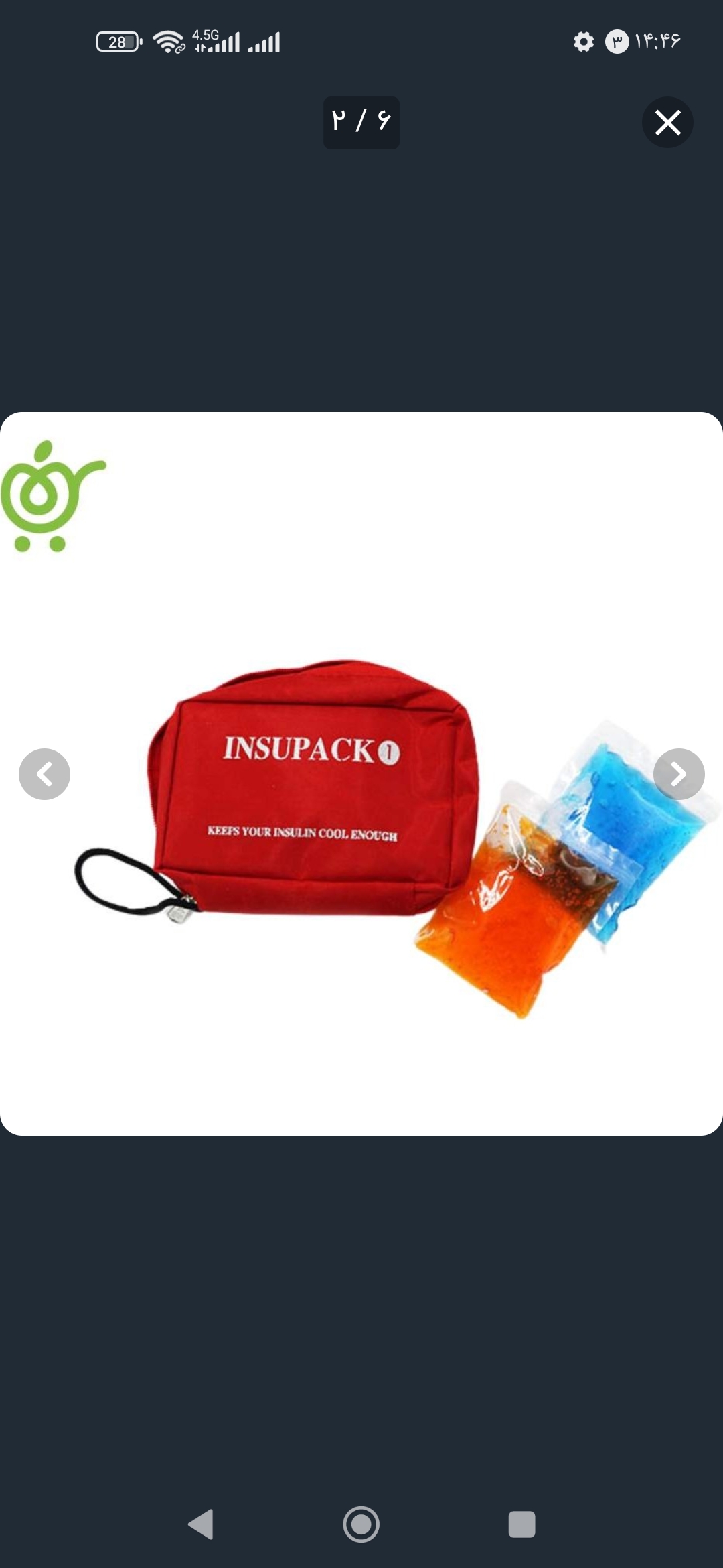 کیف انسولین با ژل خنک کننده، تصویر ۱